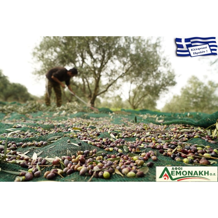 Ελαιόδιχτο Συγκομιδής 9X14 EXTRA OLIVENET